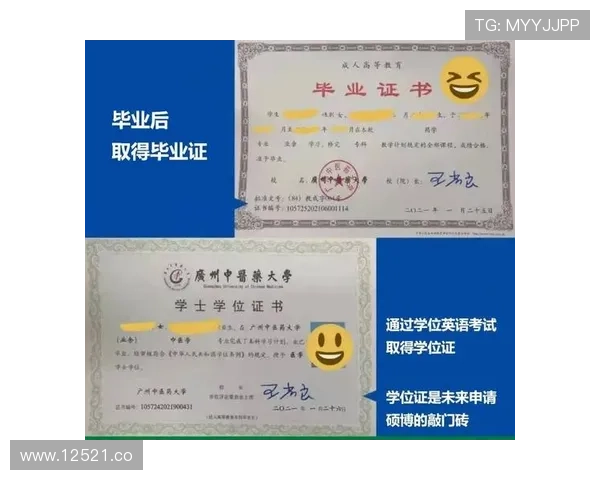 2024年黄色网站入口最新更新地址分享